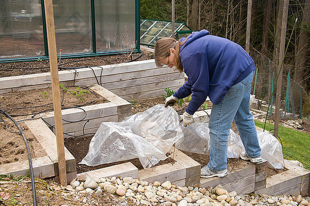 女人覆盖塑料花园篮球新鲜种植梯田厨房花园回来院子里