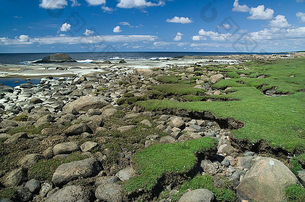 海滩草地斯廷格斯廷格哈尔姆斯塔德南部瑞典