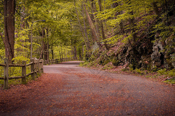 蜿蜒曲折的污垢路徒步旅行小道郁郁葱葱的绿色森林费城乡村木栅栏多叶的绿色林地树