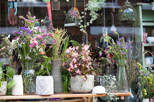 花束干花陶瓷花瓶秋海棠属植物能表点缀办公室空间