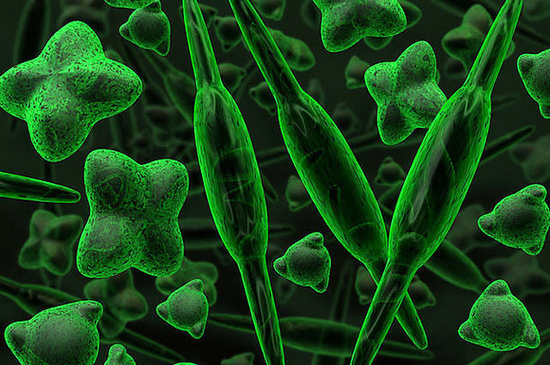 呈现硅藻藻类浮游植物背景