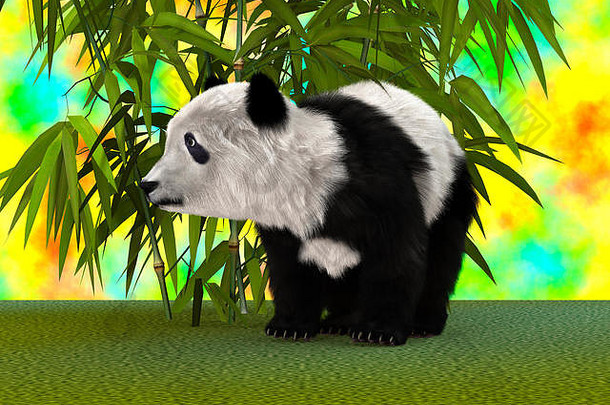 呈现熊猫熊幻想花园
