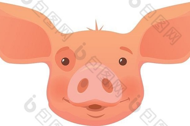 头粉红色的猪