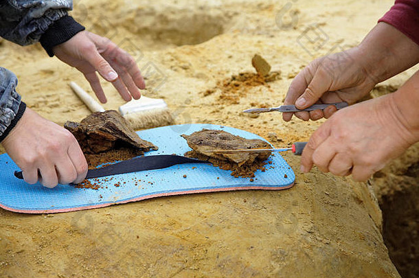 提取土壤未经加工的考古发现考古学家铺设一块橡胶席准备处理