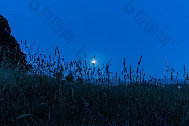 捕获景观月亮光冷语气颜色蓝色的使美丽的情绪图片