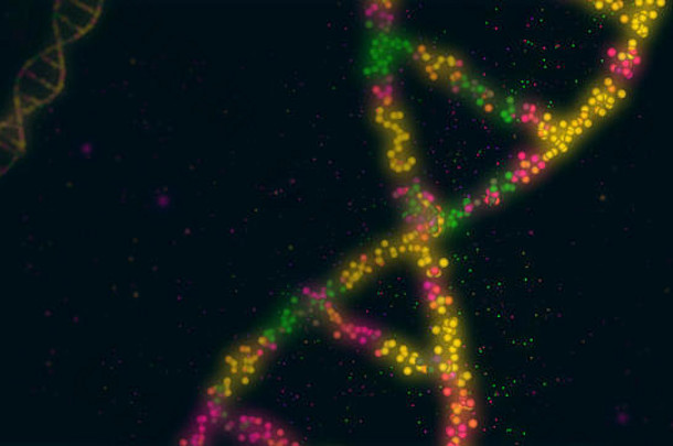 太太螺旋分子摘要插图生物技术遗传学生物学概念技术背景