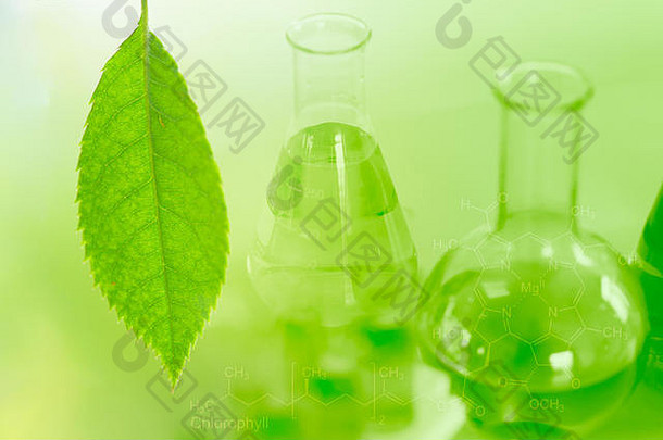 化学科学生物技术绿色自然Herbal提取实验室背景