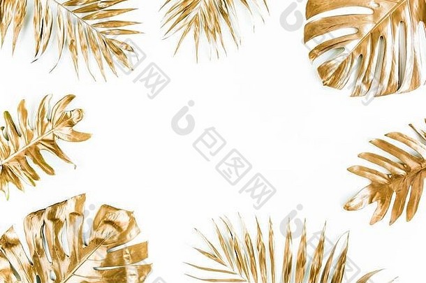 黄金热带棕榈叶子monstera白色背景平躺前视图最小的概念