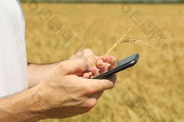 男人。电话大麦场农业业务