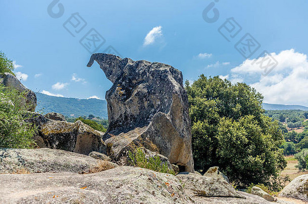 动物形状的奇怪的岩石形成科西嘉岛
