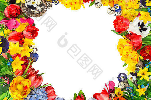复活节装饰鸡蛋郁金香那喀索斯风信子堇型花花朵花框架