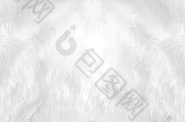 宽动物白色羊毛羊背景前视图光自然灰色毛茸茸的无缝的棉花全景纹理皱纹羊肉皮毛外套皮肤地毯席