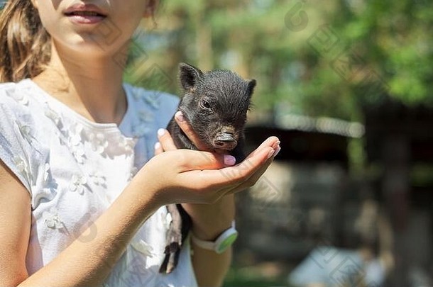 女孩孩子持有手黑色的新生儿婴儿小猪