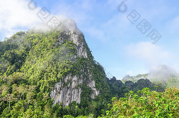 郁郁葱葱的高石灰石山覆盖<strong>雾</strong>包围热带森林泰国