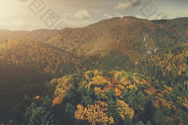 雄伟的山自然森林风景空中视图色彩斑斓的树山坡野生动物密集的木场景概述长农村农村路阴天空旅行概念无人机飞行