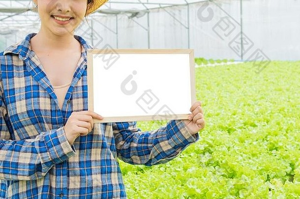 空小白色董事会绿色蔬菜内力的有机农场部分亚洲男人。女人站绿色生菜农场背景