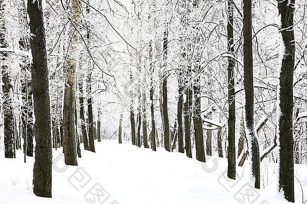 雪人行道冬天森林