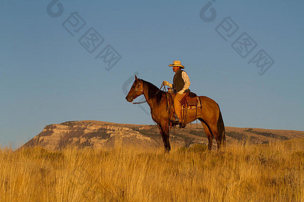 美国怀俄明壳牌藏身之处牧场牛仔马背上的金光
