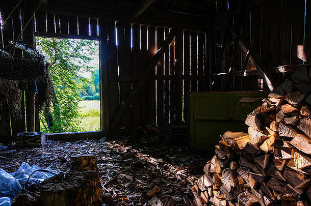 被遗弃的废墟木建筑拉脱维亚农村夏天树叶