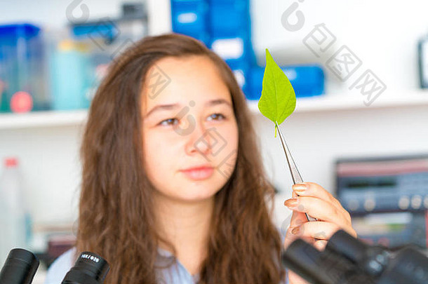 女孩学校<strong>植物实验</strong>室绿色叶子