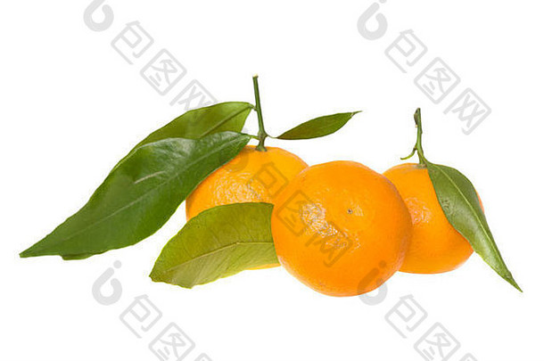 橘子叶子白色背景