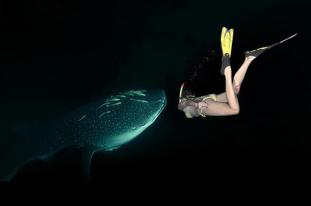 女人潜水鲸鱼鲨鱼犀牛typus滤食浮游生物晚上
