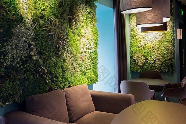 美丽的咖啡馆室内沙发墙生活绿色植物