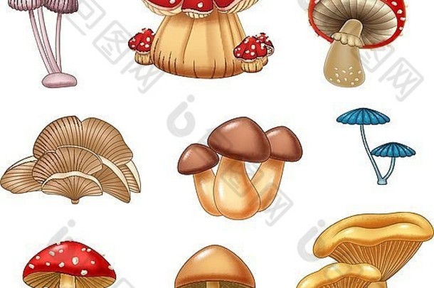 插图蘑菇集合