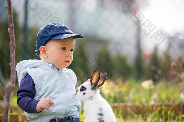 可爱的婴儿男孩孩子玩兔子公园在户外