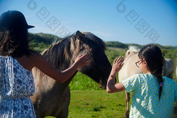 年轻的亚洲女孩明亮的夏天阳光站场包围野生马抚摸马头