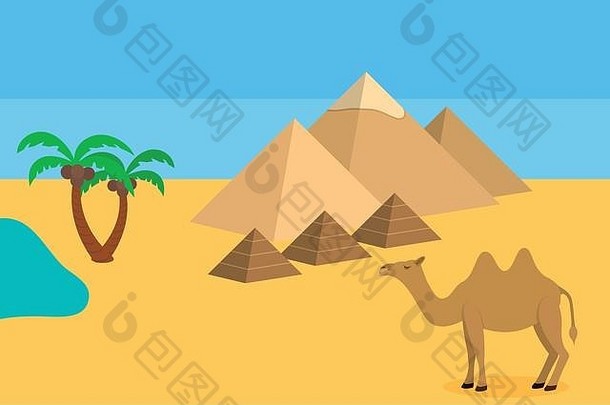 骆驼撒哈拉沙漠沙漠金字塔棕榈树