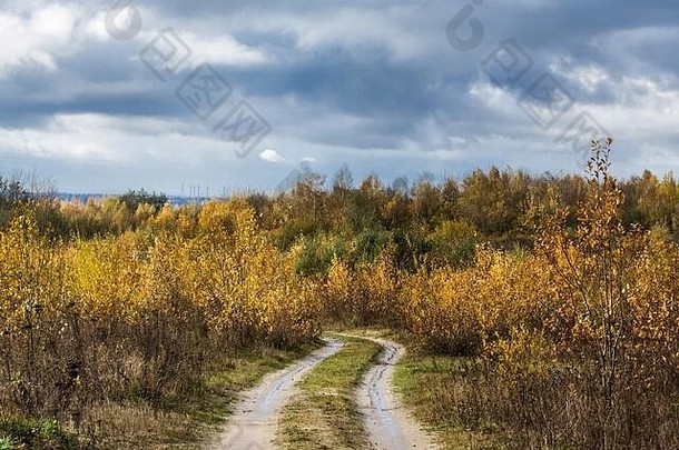 色彩斑斓的树污垢路美丽的秋天景观