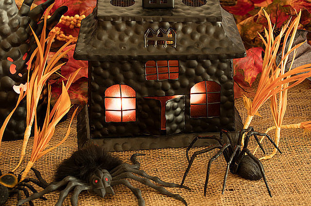 可怕的房子树蜘蛛老鼠令人毛骨悚然的字符