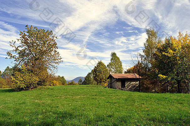 国家房子草地木背景
