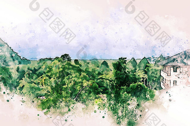 摘要色彩斑斓的山范围树景观水彩插图绘画背景
