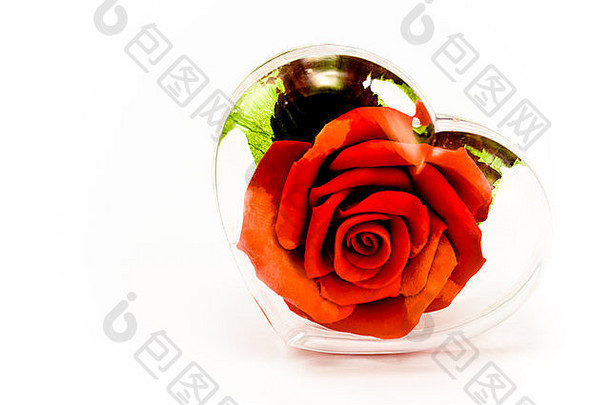 红色的玫瑰transparen心玻璃孤立的白色
