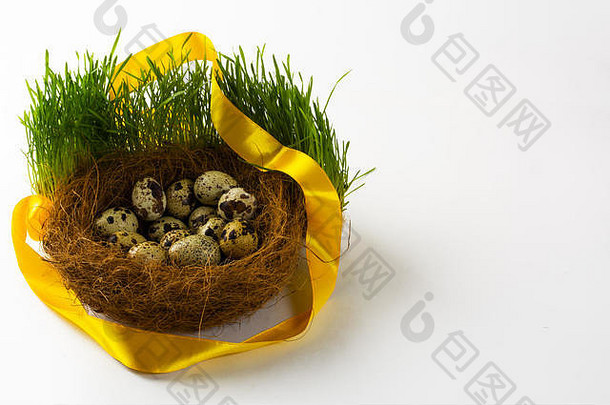巢鸡蛋野生鸟新鲜的绿色草黄色的缎丝带白色背景复活节背景复活节