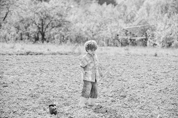 工作农场妈妈。自然概念种植幼苗孩子有趣的铲植物能种植场助手花园男孩种植花场挖掘地面