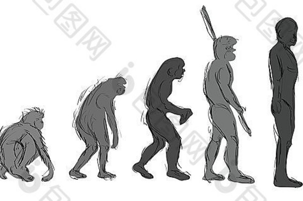 进化手绘