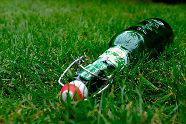 啤酒瓶被丢弃的郊区花园
