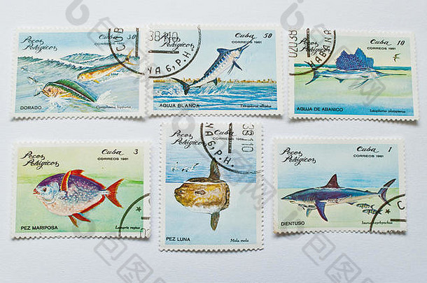 乌日哥罗德乌克兰约集合邮资邮票印刷古巴显示类型鱼约