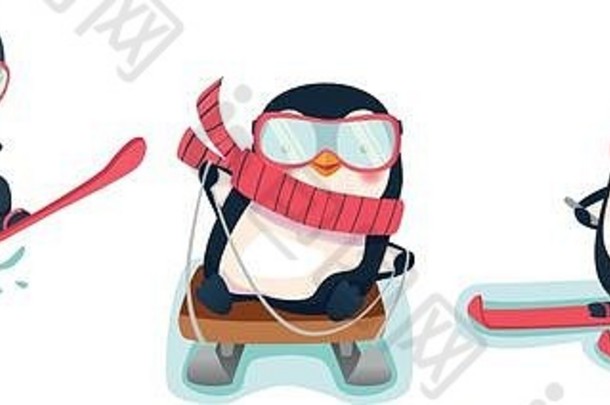 活跃的企鹅冬天