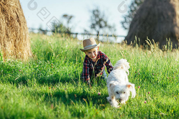 白色狗运行婴儿绿色场特写镜头动物孩子新鲜的空气风景如画的农村强大的忠实的可靠的