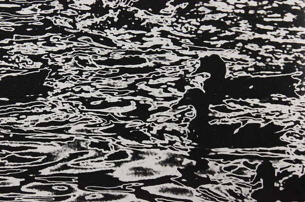细黑色的白色艺术摄影群撑筏团队划鸭子游泳湖