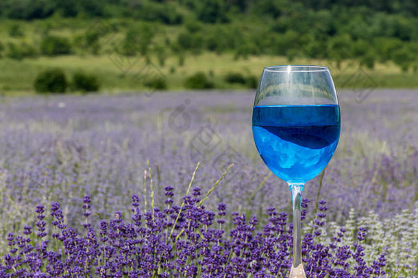 玻璃蓝色的酒充满活力的薰衣草场背景