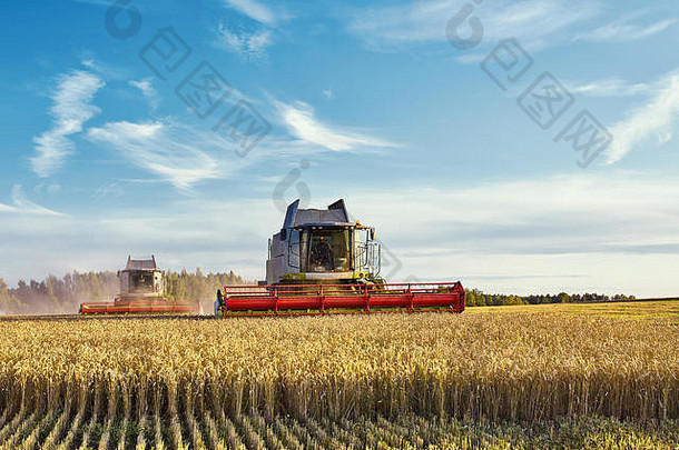 结合收割机收成成熟的小麦农业图像