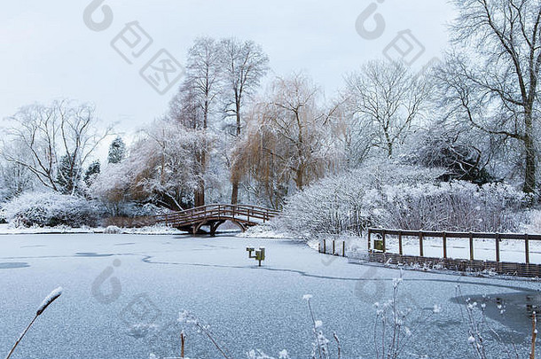 薄层新鲜下降雪冻湖转市政花园美丽的白色冬天景观风景