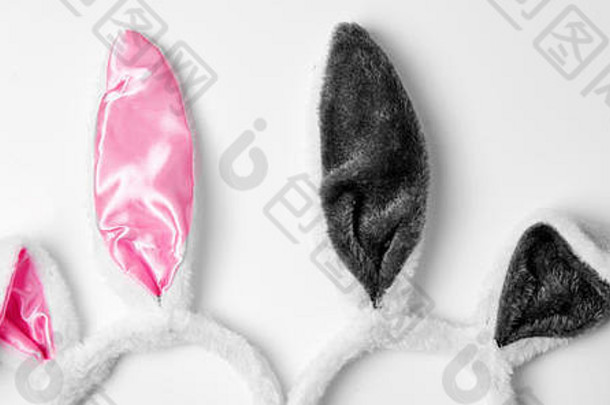 前视图兔子耳朵白色背景粉红色的夫妇爱假期复活节概念