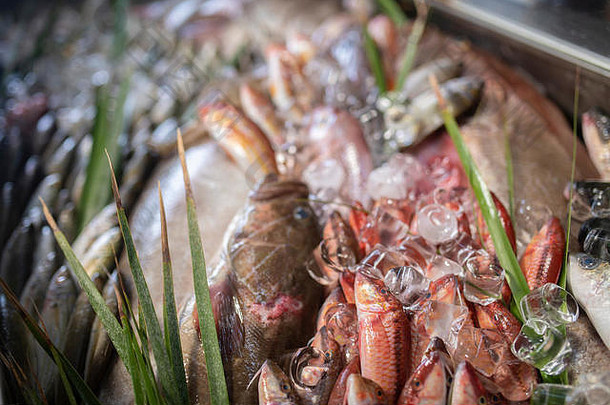 龙虾章鱼红色的鲻鱼boopsboops海低音海鲤科鱼白色石斑鱼虾新鲜的海鲜鱼冰鱼市场