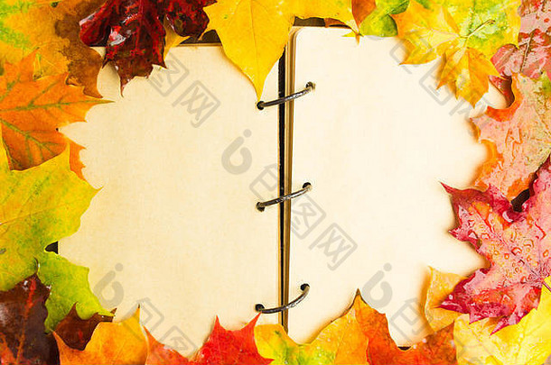 开放笔记本秋天湿枫木叶子复制空间